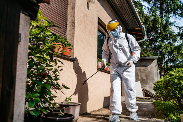 Best Pest Removal Services  in Bonney Lake, WA